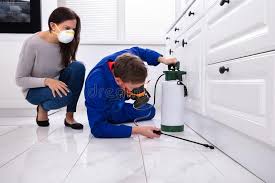 Best Residential Pest Control  in Mattawan, MI